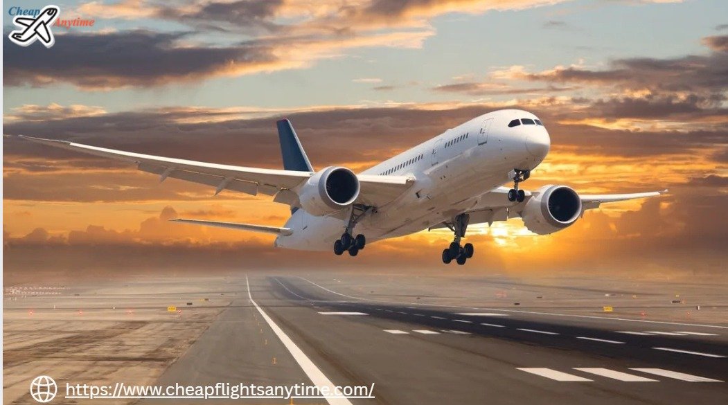 Read more about the article How to Book Cheap Flights from New York to Miami (NYC – MIA)?