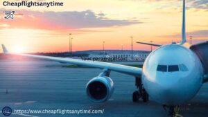 Read more about the article CheapFlightsAnytime: Affordable Flights from LA to Hawaii