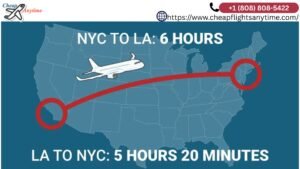 Read more about the article What You Should Know About Flights from New York to Los Angeles?