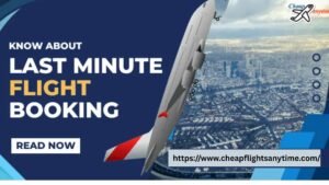 Read more about the article How to Locate Affordable Tickets in 2025: Last-Minute Flight Deals to Any Destination