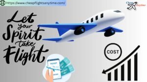 Read more about the article Why Do Spirit Flights Cost So Little?